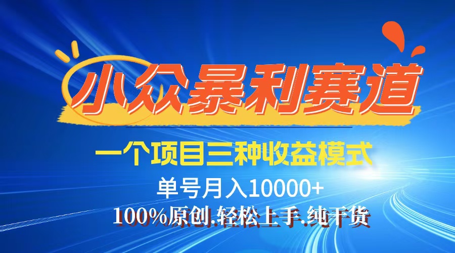 （12579期）【老人言】-视频号爆火赛道，三种变现方式，0粉新号调调爆款-众创网