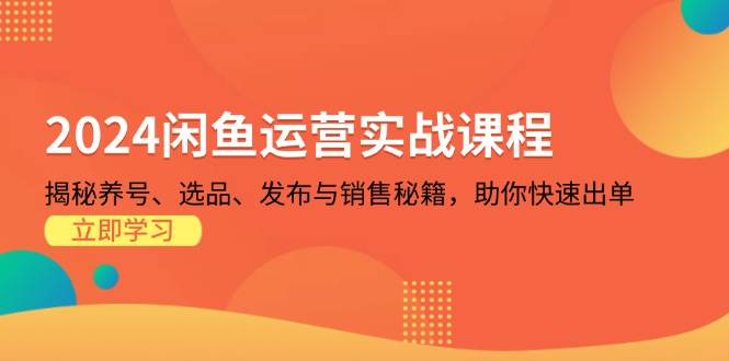 2024闲鱼运营实战课程：揭秘养号、选品、发布与销售秘籍，助你快速出单-众创网