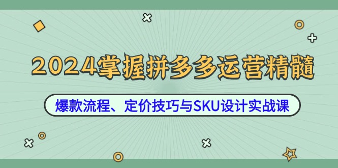 2024掌握拼多多运营精髓：爆款流程、定价技巧与SKU设计实战课-众创网