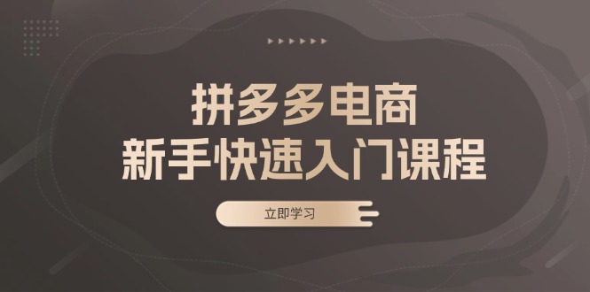 （13289期）拼多多电商新手快速入门课程：涵盖基础、实战与选款，助力小白轻松上手-众创网