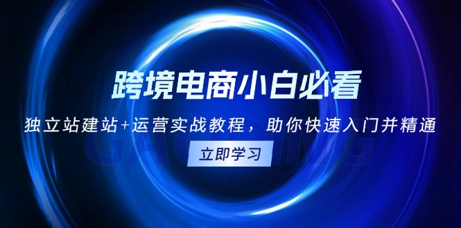 （13503期）跨境电商小白必看！独立站建站+运营实战教程，助你快速入门并精通-众创网