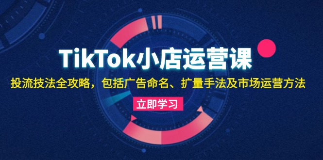 （13063期）TikTok小店运营课：投流技法全攻略，包括广告命名 扩量手法及市场运营方法-众创网