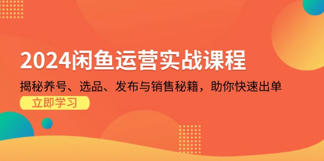 （13290期）2024闲鱼运营实战课程：揭秘养号、选品、发布与销售秘籍，助你快速出单-众创网