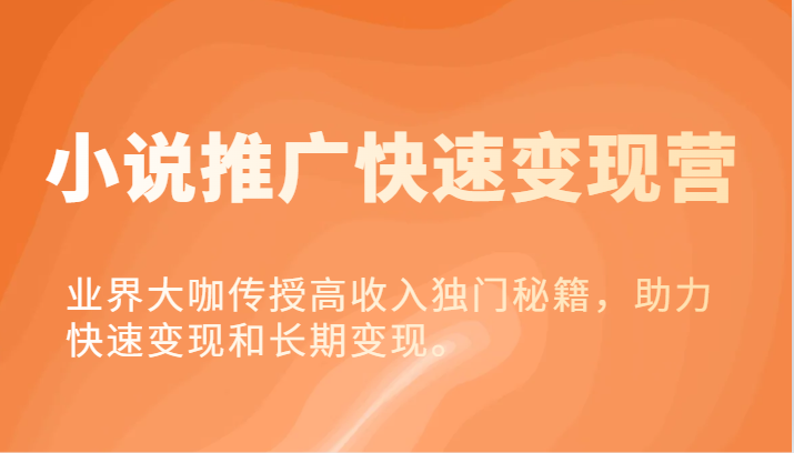 小说集营销推广收益最大化营-业内大佬教给高工资独门秘籍，助推收益最大化或长期转现。-众创网