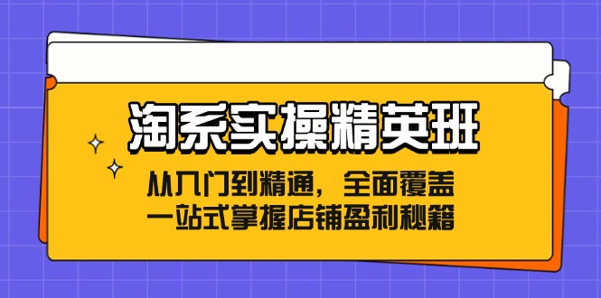 淘系实操精英班：从入门到精通，全面覆盖，一站式掌握店铺盈利秘籍-众创网