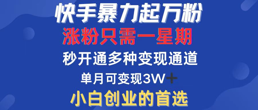 （12651期）快手暴力起万粉，涨粉只需一星期，多种变现模式，直接秒开万合，小白创…-众创网