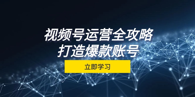 （12912期）视频号运营全攻略，从定位到成交一站式学习，视频号核心秘诀，打造爆款…-众创网