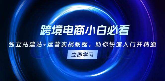 跨境电商小白必看！独立站建站+运营实战教程，助你快速入门并精通-众创网