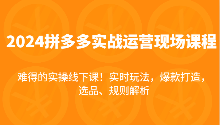 2024拼多多平台实战演练经营当场课，即时游戏玩法，爆款打造，选款、标准分析，不可多得的实际操作面授课！-众创网