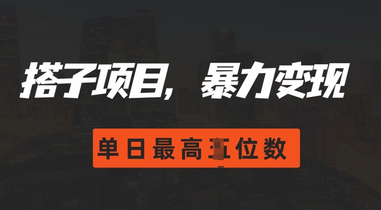 2024搭子玩法，0门槛，暴力变现，单日最高破四位数【揭秘】-众创网