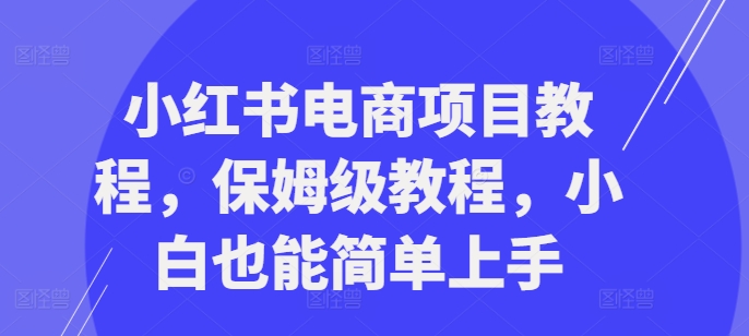 小红书电商项目教程，保姆级教程，小白也能简单上手-众创网