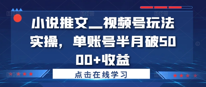 小说推文—视频号玩法实操，单账号半月破5000+收益-众创网