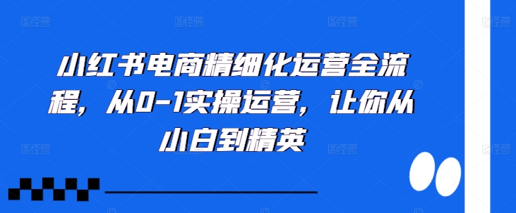 小红书电商精细化运营全流程，从0-1实操运营，让你从小白到精英-众创网