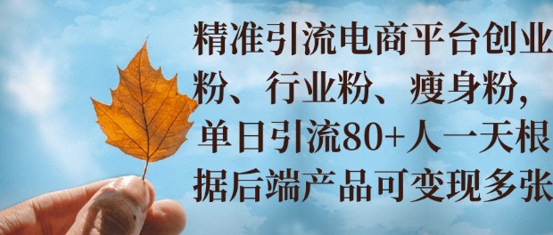 小投资撬动大收益，精准引流创业粉、行业粉，单日引流80+，一天可变现多张-众创网