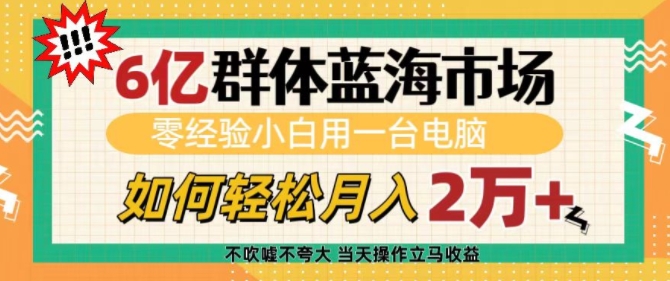 6亿群体蓝海市场，零经验小白用一台电脑，如何轻松月入过w【揭秘】-众创网