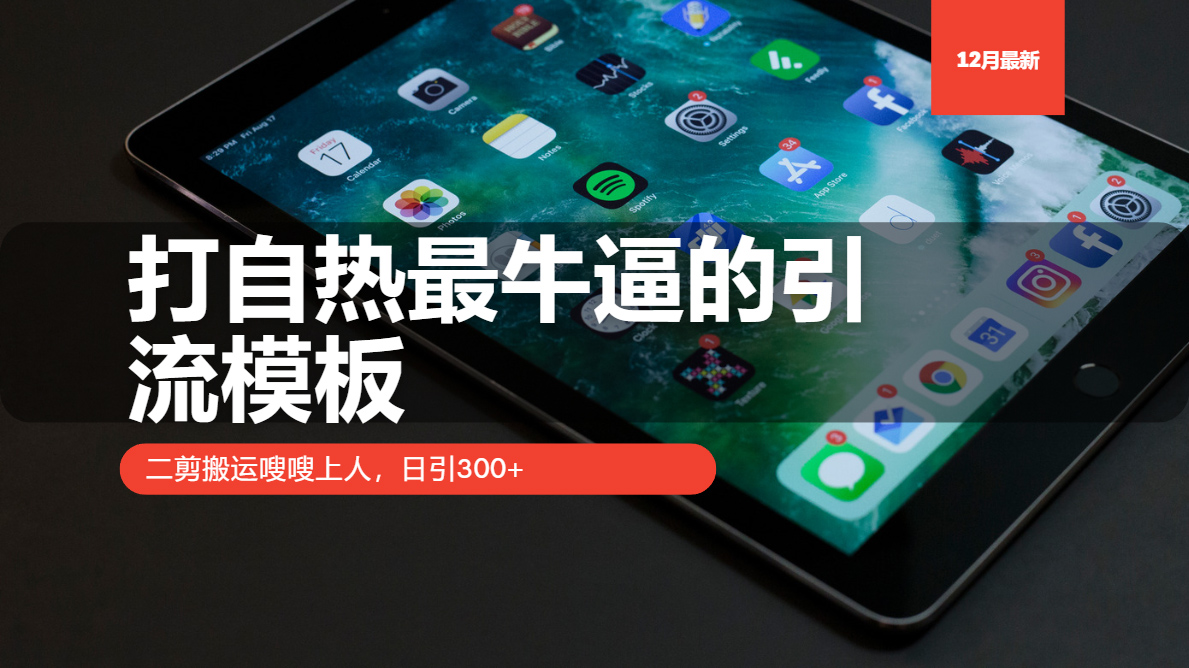 （13654期）打自热最牛逼的引流模板，二剪搬运嗖嗖上人，日引300+-众创网