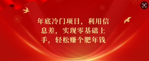 年底冷门项目，利用信息差，实现零基础上手，轻松赚个肥年钱【揭秘】-众创网