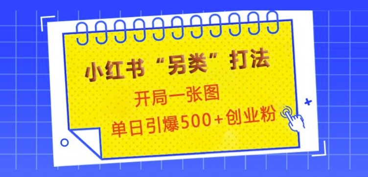 小红书“另类”打法，开局一张图，单日引爆500+精准创业粉【揭秘】-众创网