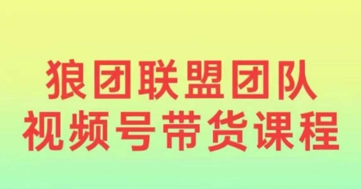 狼团联盟2024视频号带货，0基础小白快速入局视频号-众创网