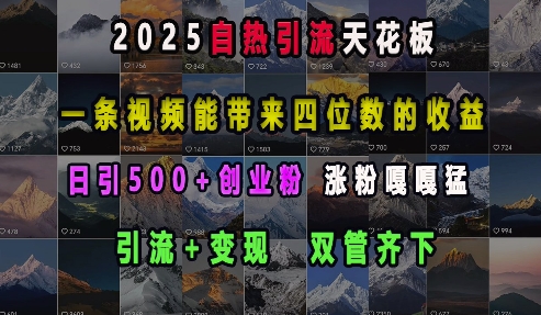 2025自热引流天花板，一条视频能带来四位数的收益，引流+变现双管齐下，日引500+创业粉，涨粉嘎嘎猛-众创网