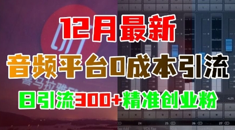 12月最新：音频平台0成本引流，日引流300+精准创业粉-众创网