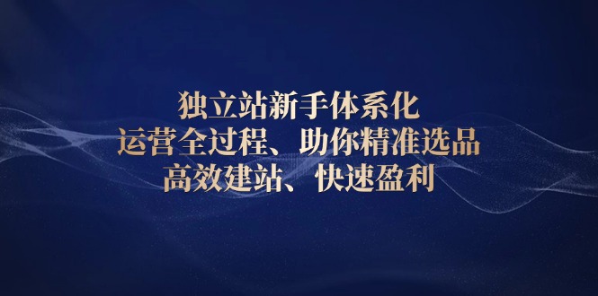 （13914期）独立站新手体系化 运营全过程，助你精准选品、高效建站、快速盈利-众创网