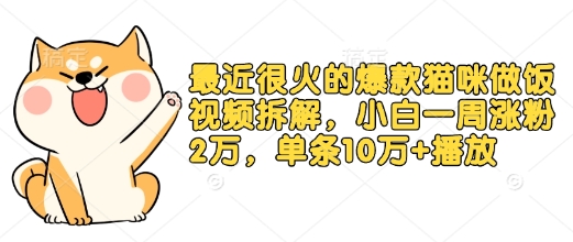 最近很火的爆款猫咪做饭视频拆解，小白一周涨粉2万，单条10万+播放(附保姆级教程)-众创网