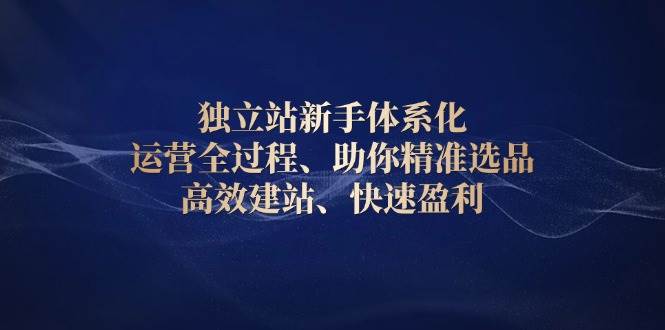 独立站新手体系化 运营全过程，助你精准选品、高效建站、快速盈利-众创网