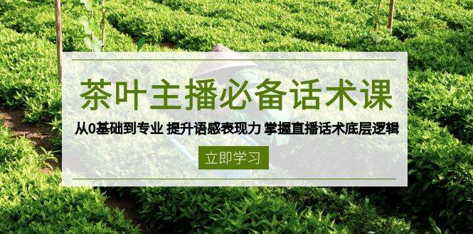 茶叶主播必备话术课 从0基础到专业 提升语感表现力 掌握直播话术底层逻辑-众创网