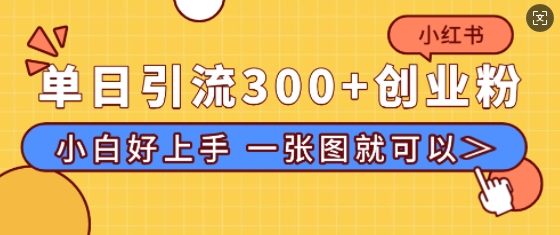 小红书单日引流300+创业粉，“简单粗暴”引流法，小白好上手，私信回不完-众创网