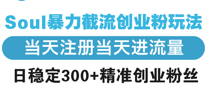 （13935期）Soul暴力截流创业粉玩法，当天注册当天进流量，日稳定300+精准创业粉丝-众创网