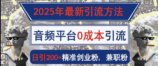 2025年最新引流方法，音频平台0成本引流，日引200+精准创业粉-众创网