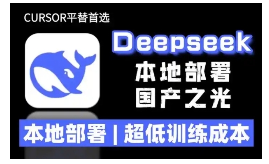 2025年deepseek R1 大型模型本地安装部署(文件+教程)本地部署，超低训练成本-众创网