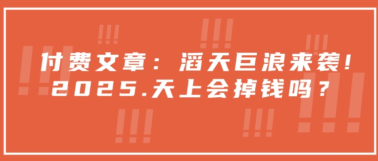 付费文章：滔天巨浪来袭！2025天上会掉钱吗？-众创网