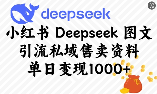 小红书Deepseek图文引流私域售卖资料，单日变现多张-众创网