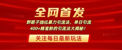 全网首发，野路子暴力引流法，单日引流400+精准粉的引流法大揭秘-众创网