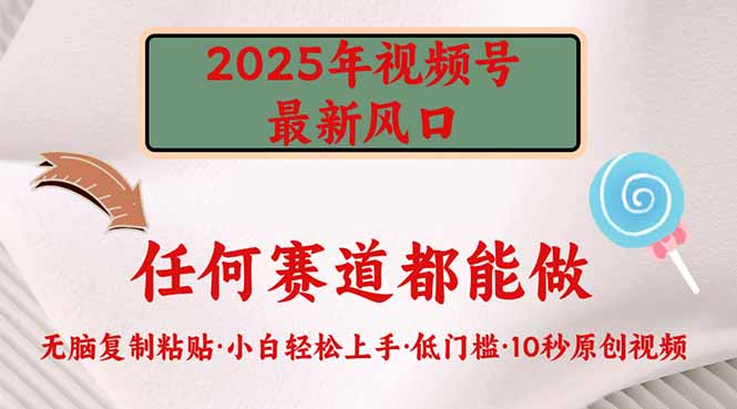 （14453期）2025年视频号新风口，低门槛只需要无脑执行-众创网