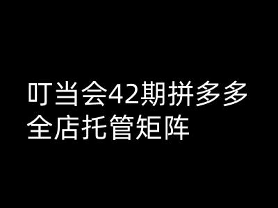 叮当会拼多多打爆班原创高阶技术第42期，拼多多全店托管矩阵-众创网