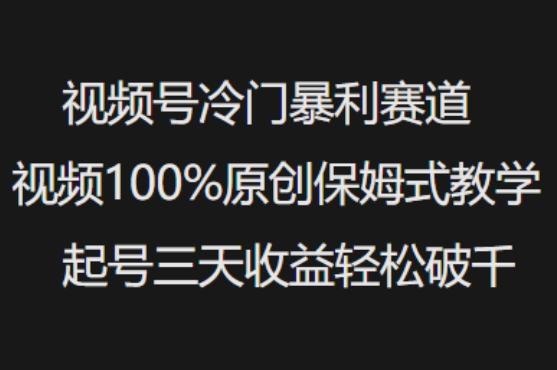 视频号冷门暴利赛道视频100%原创保姆式教学起号三天收益轻松破千-众创网