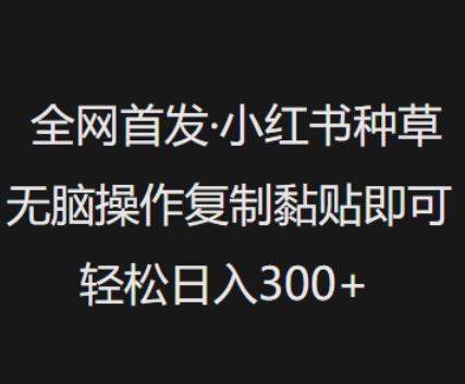 全网首发，小红书种草无脑操作，复制黏贴即可，轻松日入3张-众创网