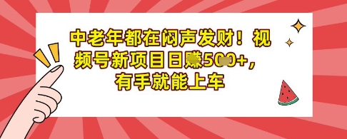 中老年都在闷声发财，视频号新项目日入多张，有手就能上车-众创网