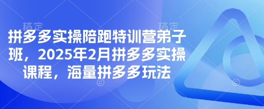 拼多多实操陪跑特训营弟子班，2025年2月拼多多实操课程，海量拼多多玩法-众创网