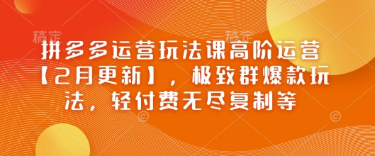 拼多多运营玩法课高阶运营【2月更新】，极致群爆款玩法，轻付费无尽复制等-众创网